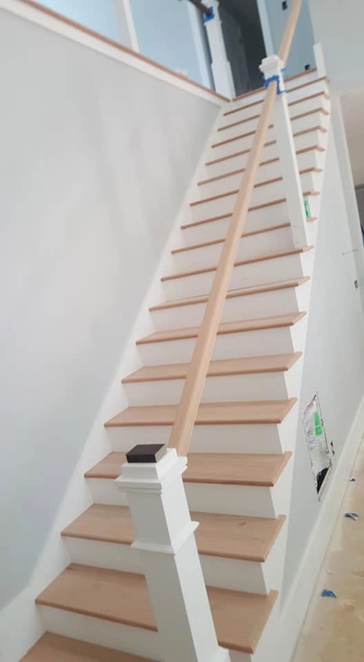 Expert Painter